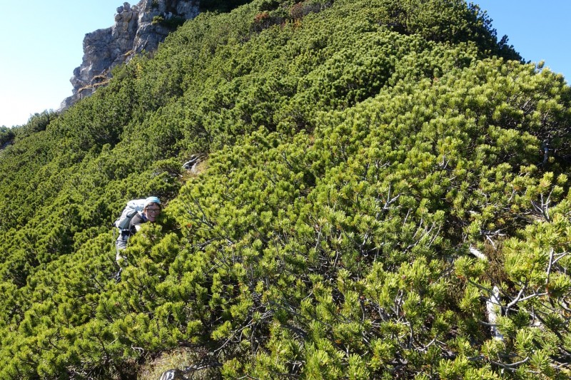 Lochgehrenkopf - Lochgehrenspitze - Sulzspitze - Strindschartenkopf - Litnisschrofen - Krinnenspitze - Nesselwngle