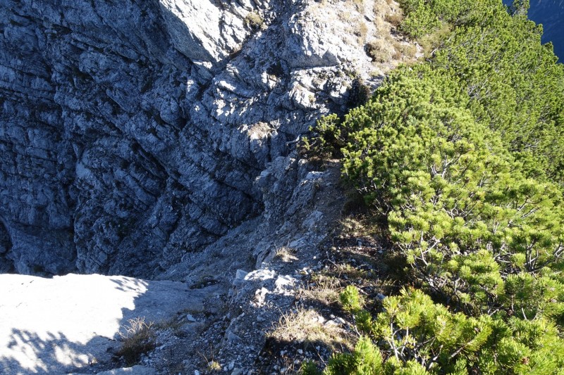 Lochgehrenkopf - Lochgehrenspitze - Sulzspitze - Strindschartenkopf - Litnisschrofen - Krinnenspitze - Nesselwngle