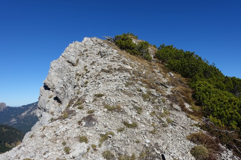 Lochgehrenkopf - Lochgehrenspitze - Sulzspitze - Strindschartenkopf - Litnisschrofen - Krinnenspitze - Nesselwngle