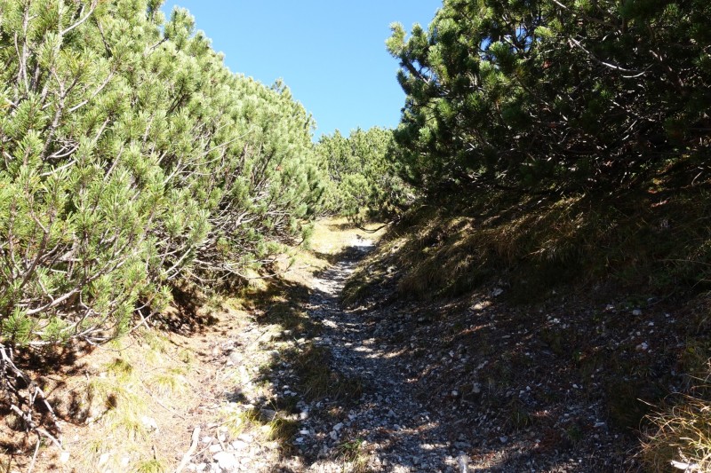 Lochgehrenkopf - Lochgehrenspitze - Sulzspitze - Strindschartenkopf - Litnisschrofen - Krinnenspitze - Nesselwngle