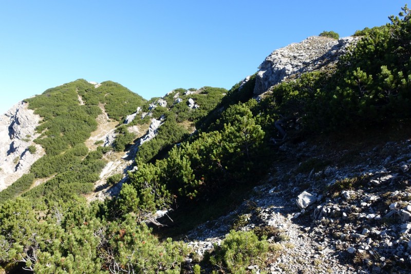 Lochgehrenkopf - Lochgehrenspitze - Sulzspitze - Strindschartenkopf - Litnisschrofen - Krinnenspitze - Nesselwngle