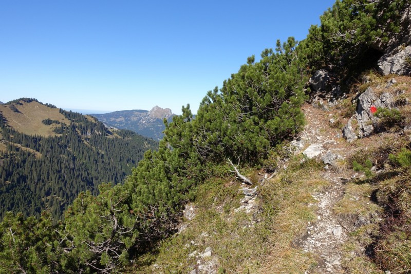Lochgehrenkopf - Lochgehrenspitze - Sulzspitze - Strindschartenkopf - Litnisschrofen - Krinnenspitze - Nesselwngle
