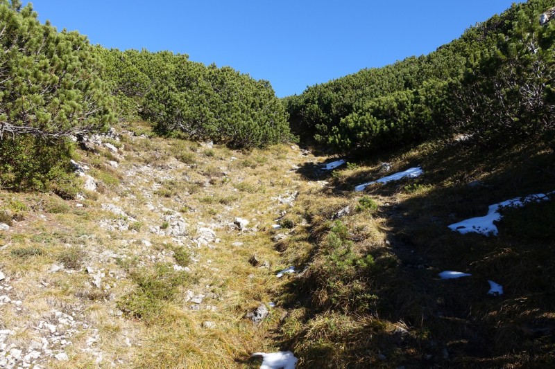 Lochgehrenkopf - Lochgehrenspitze - Sulzspitze - Strindschartenkopf - Litnisschrofen - Krinnenspitze - Nesselwngle