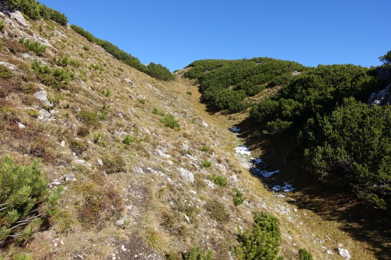 Lochgehrenkopf - Lochgehrenspitze - Sulzspitze - Strindschartenkopf - Litnisschrofen - Krinnenspitze - Nesselwngle