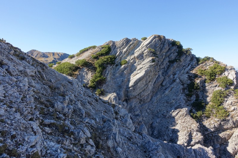 Lochgehrenkopf - Lochgehrenspitze - Sulzspitze - Strindschartenkopf - Litnisschrofen - Krinnenspitze - Nesselwngle