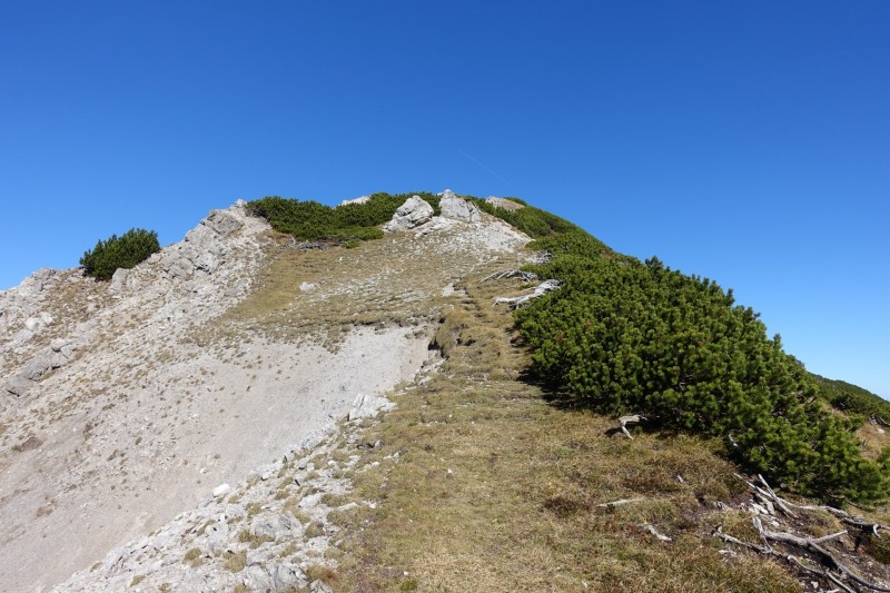 Lochgehrenkopf - Lochgehrenspitze - Sulzspitze - Strindschartenkopf - Litnisschrofen - Krinnenspitze - Nesselwngle