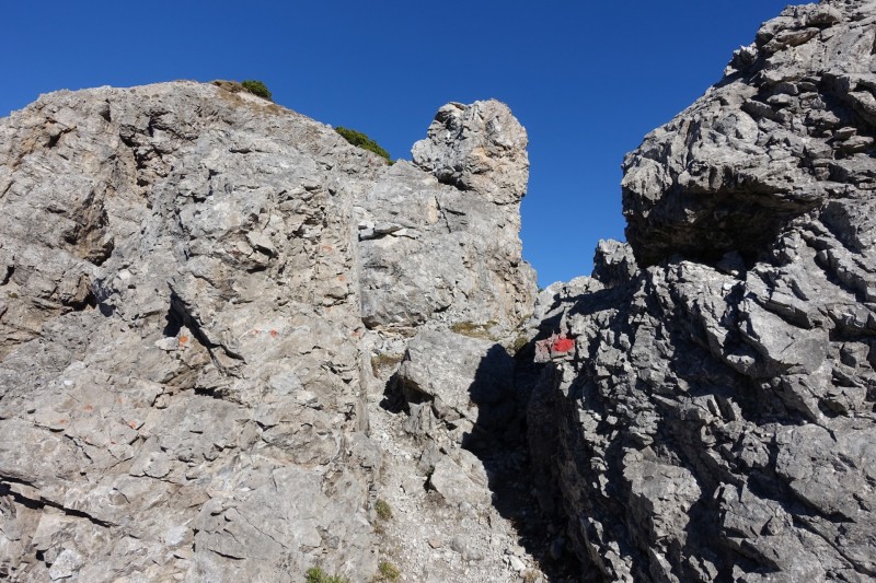 Lochgehrenkopf - Lochgehrenspitze - Sulzspitze - Strindschartenkopf - Litnisschrofen - Krinnenspitze - Nesselwngle