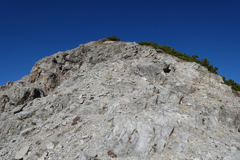 Lochgehrenkopf - Lochgehrenspitze - Sulzspitze - Strindschartenkopf - Litnisschrofen - Krinnenspitze - Nesselwngle