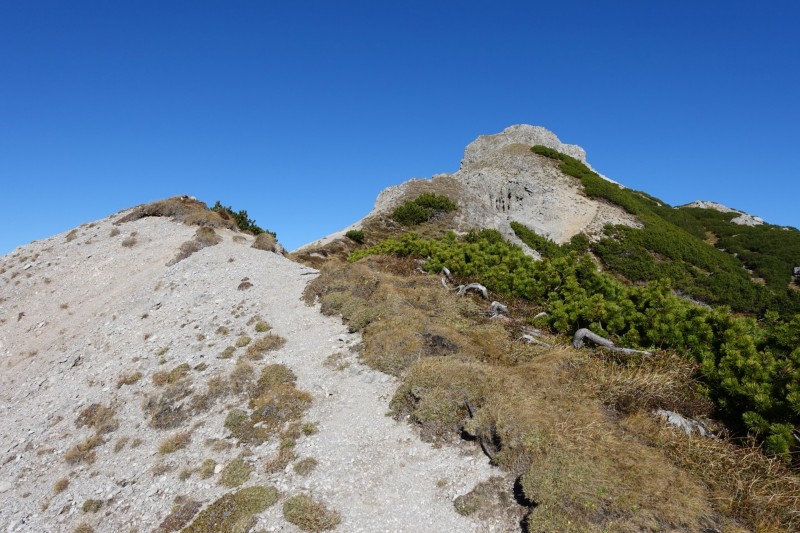 Lochgehrenkopf - Lochgehrenspitze - Sulzspitze - Strindschartenkopf - Litnisschrofen - Krinnenspitze - Nesselwngle