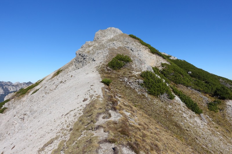 Lochgehrenkopf - Lochgehrenspitze - Sulzspitze - Strindschartenkopf - Litnisschrofen - Krinnenspitze - Nesselwngle