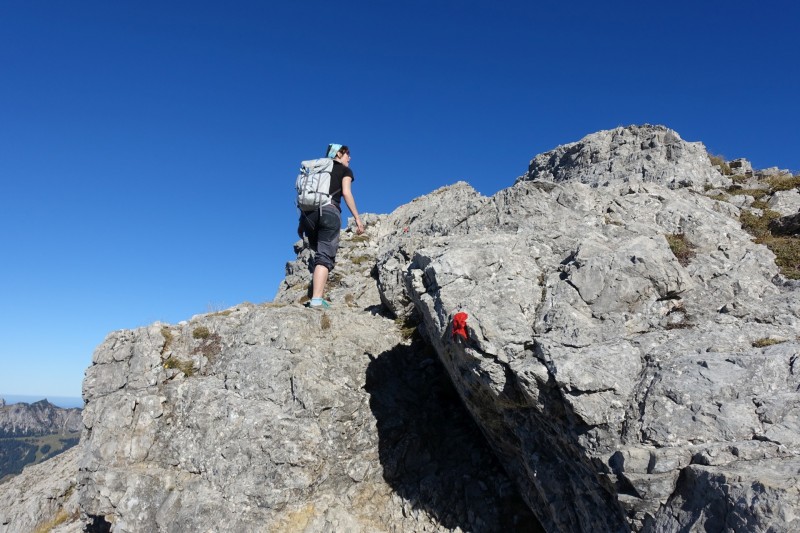 Lochgehrenkopf - Lochgehrenspitze - Sulzspitze - Strindschartenkopf - Litnisschrofen - Krinnenspitze - Nesselwngle