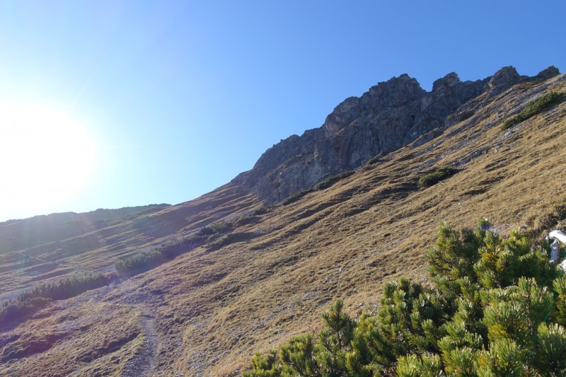 Lochgehrenkopf - Lochgehrenspitze - Sulzspitze - Strindschartenkopf - Litnisschrofen - Krinnenspitze - Nesselwngle