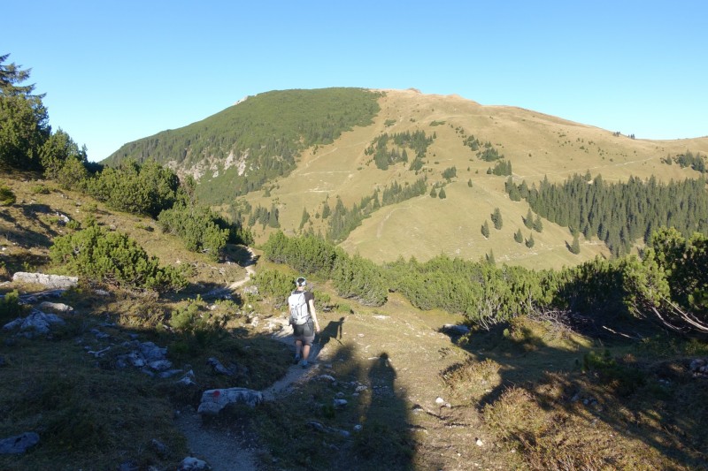 Lochgehrenkopf - Lochgehrenspitze - Sulzspitze - Strindschartenkopf - Litnisschrofen - Krinnenspitze - Nesselwngle