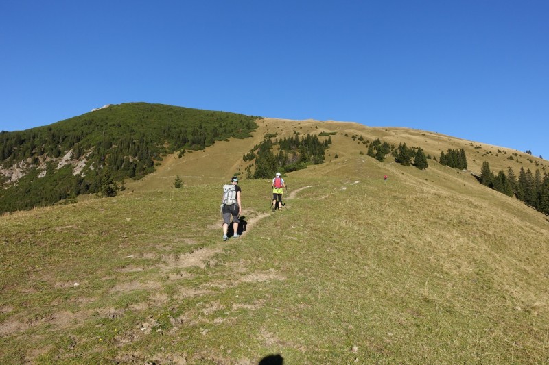 Lochgehrenkopf - Lochgehrenspitze - Sulzspitze - Strindschartenkopf - Litnisschrofen - Krinnenspitze - Nesselwngle