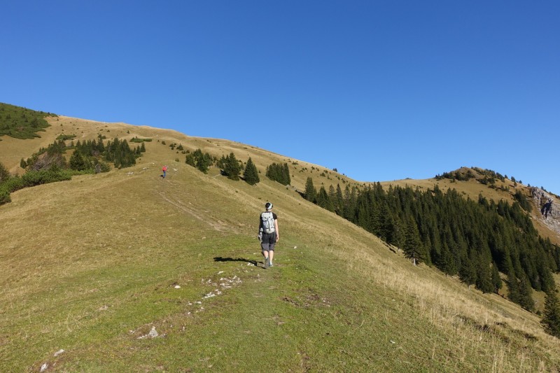 Lochgehrenkopf - Lochgehrenspitze - Sulzspitze - Strindschartenkopf - Litnisschrofen - Krinnenspitze - Nesselwngle