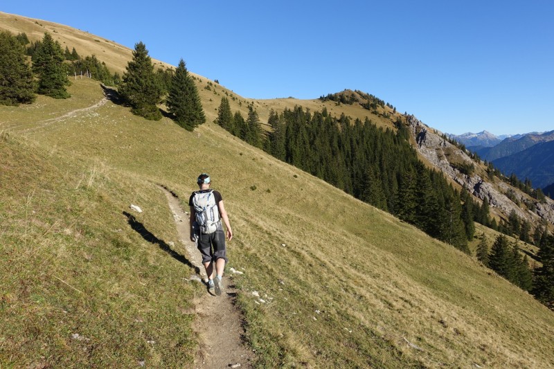 Lochgehrenkopf - Lochgehrenspitze - Sulzspitze - Strindschartenkopf - Litnisschrofen - Krinnenspitze - Nesselwngle