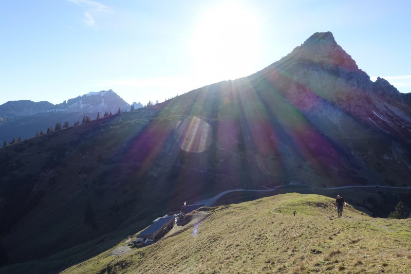 Lochgehrenkopf - Lochgehrenspitze - Sulzspitze - Strindschartenkopf - Litnisschrofen - Krinnenspitze - Nesselwngle