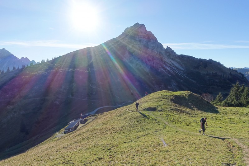 Lochgehrenkopf - Lochgehrenspitze - Sulzspitze - Strindschartenkopf - Litnisschrofen - Krinnenspitze - Nesselwngle