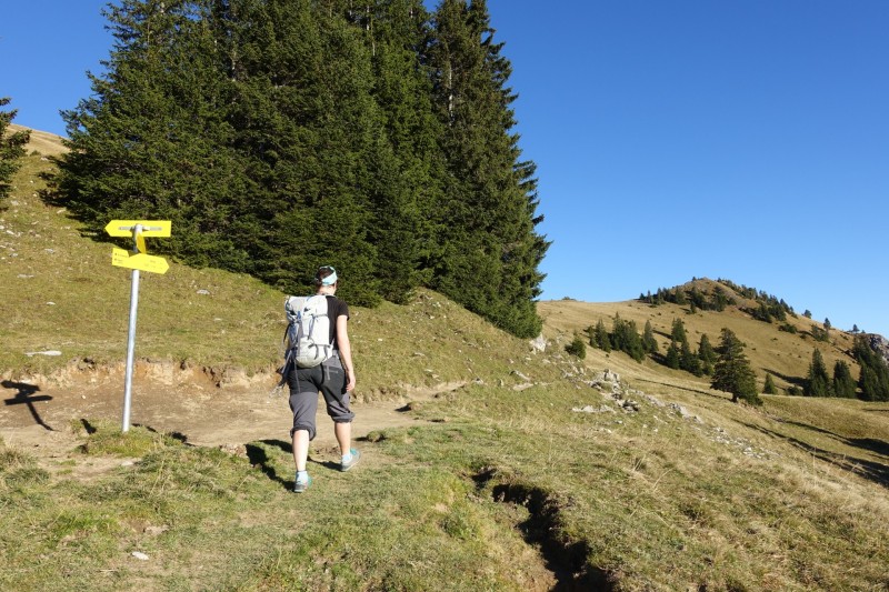 Lochgehrenkopf - Lochgehrenspitze - Sulzspitze - Strindschartenkopf - Litnisschrofen - Krinnenspitze - Nesselwngle