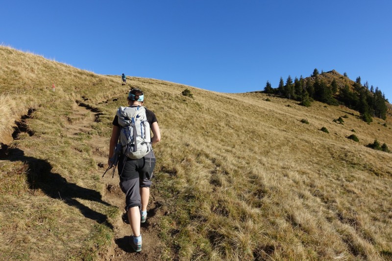 Lochgehrenkopf - Lochgehrenspitze - Sulzspitze - Strindschartenkopf - Litnisschrofen - Krinnenspitze - Nesselwngle