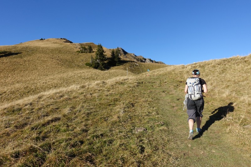 Lochgehrenkopf - Lochgehrenspitze - Sulzspitze - Strindschartenkopf - Litnisschrofen - Krinnenspitze - Nesselwngle