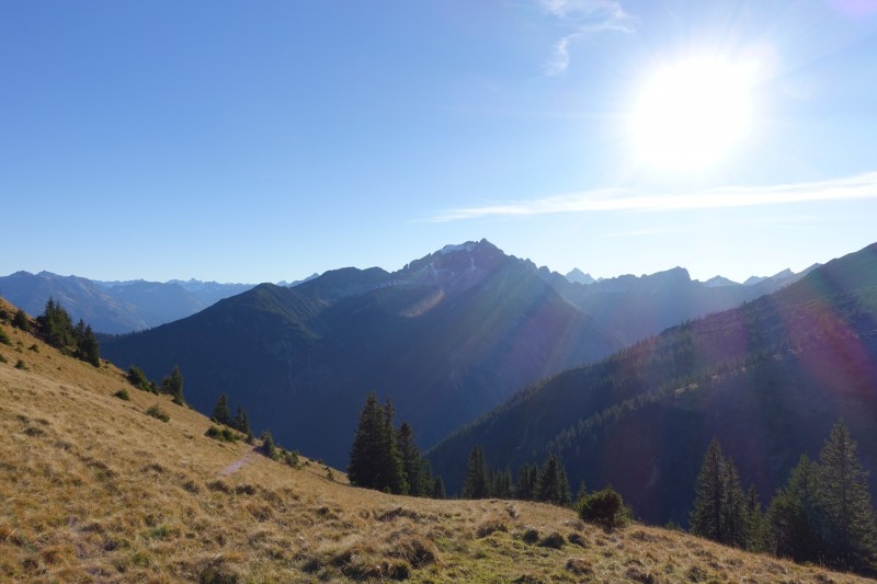 Lochgehrenkopf - Lochgehrenspitze - Sulzspitze - Strindschartenkopf - Litnisschrofen - Krinnenspitze - Nesselwngle