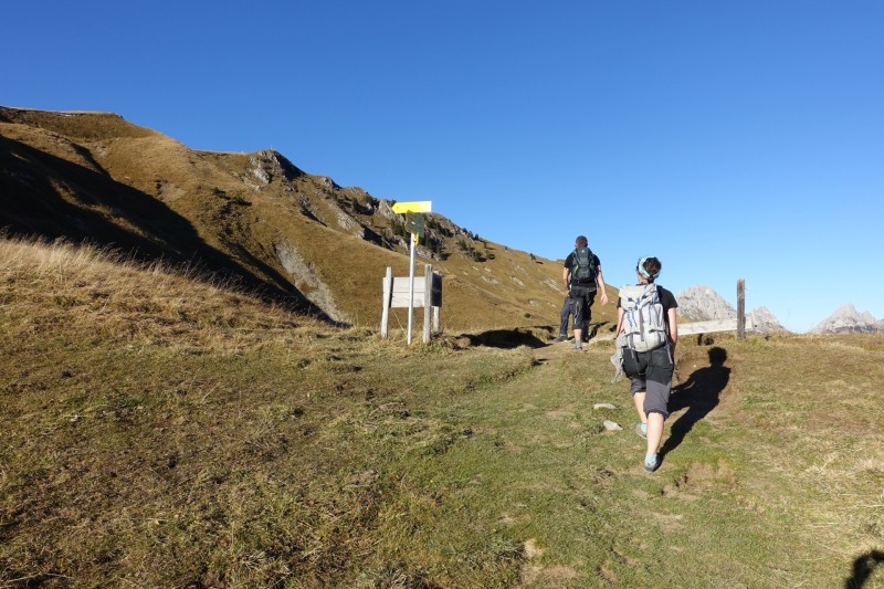 Lochgehrenkopf - Lochgehrenspitze - Sulzspitze - Strindschartenkopf - Litnisschrofen - Krinnenspitze - Nesselwngle