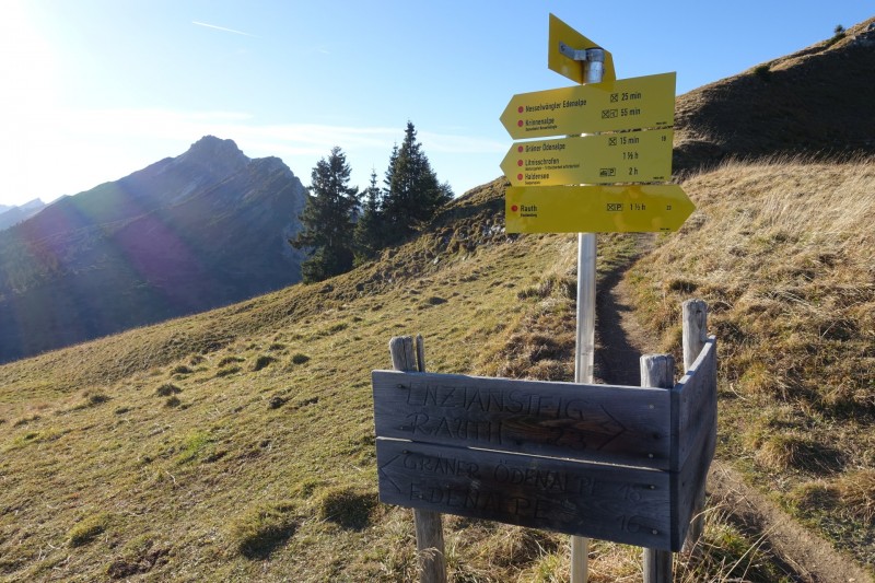 Lochgehrenkopf - Lochgehrenspitze - Sulzspitze - Strindschartenkopf - Litnisschrofen - Krinnenspitze - Nesselwngle