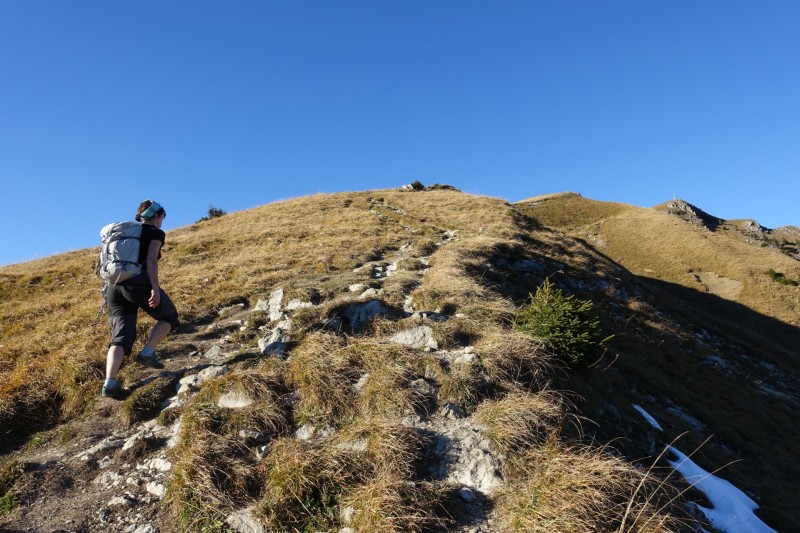 Lochgehrenkopf - Lochgehrenspitze - Sulzspitze - Strindschartenkopf - Litnisschrofen - Krinnenspitze - Nesselwngle