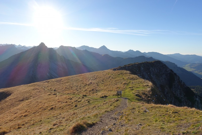 Lochgehrenkopf - Lochgehrenspitze - Sulzspitze - Strindschartenkopf - Litnisschrofen - Krinnenspitze - Nesselwngle