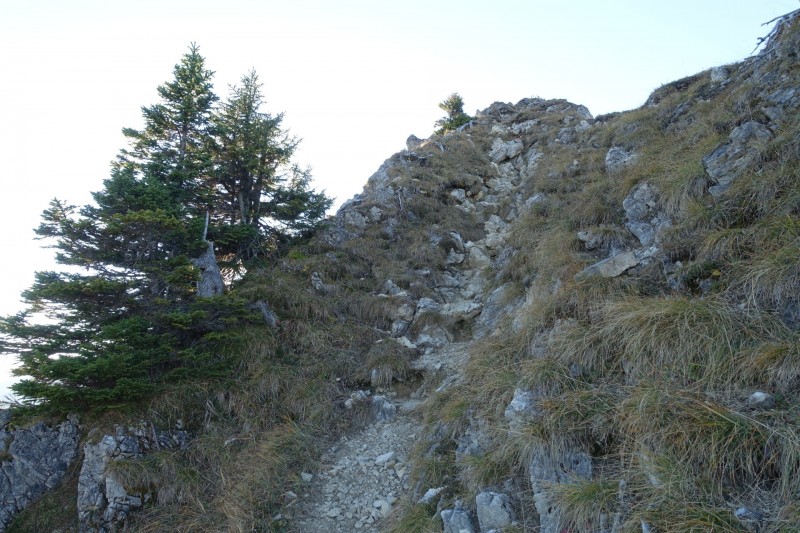 Lochgehrenkopf - Lochgehrenspitze - Sulzspitze - Strindschartenkopf - Litnisschrofen - Krinnenspitze - Nesselwngle