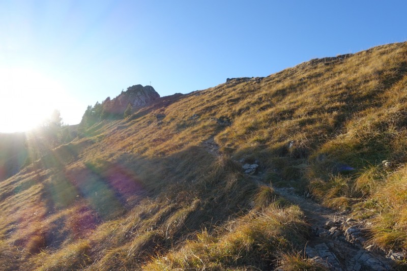 Lochgehrenkopf - Lochgehrenspitze - Sulzspitze - Strindschartenkopf - Litnisschrofen - Krinnenspitze - Nesselwngle