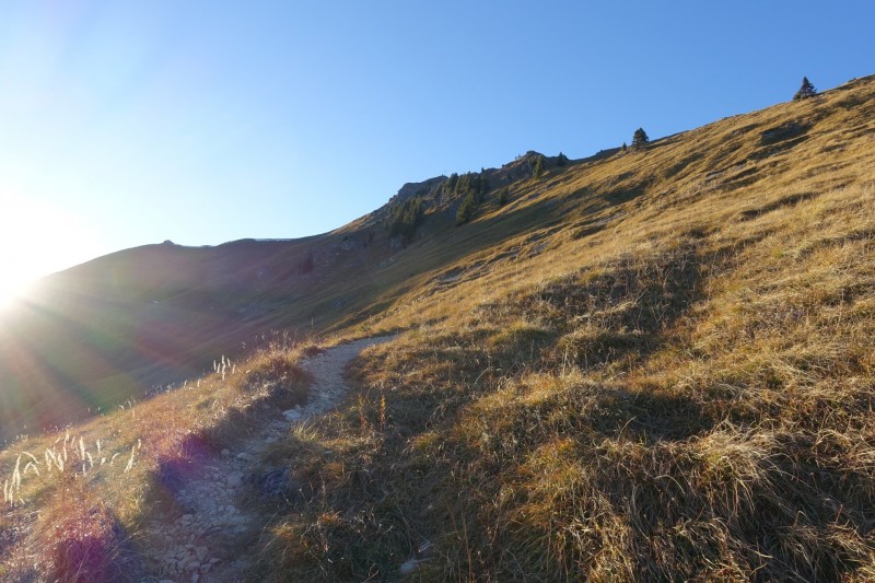 Lochgehrenkopf - Lochgehrenspitze - Sulzspitze - Strindschartenkopf - Litnisschrofen - Krinnenspitze - Nesselwngle