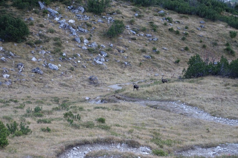 Lochgehrenkopf - Lochgehrenspitze - Sulzspitze - Strindschartenkopf - Litnisschrofen - Krinnenspitze - Nesselwngle