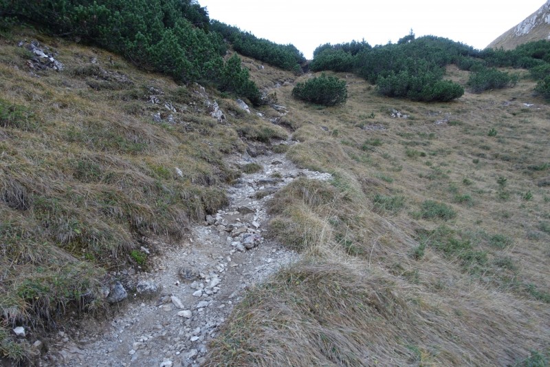 Lochgehrenkopf - Lochgehrenspitze - Sulzspitze - Strindschartenkopf - Litnisschrofen - Krinnenspitze - Nesselwngle