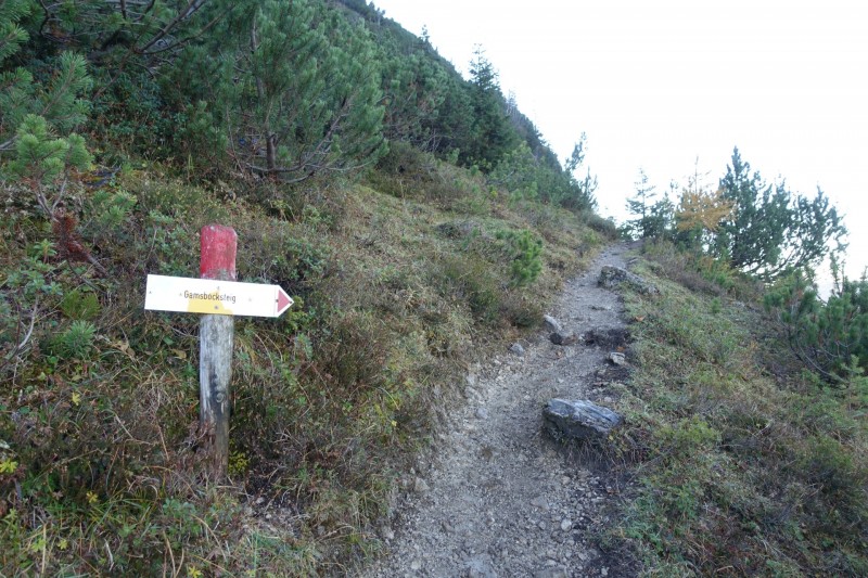 Lochgehrenkopf - Lochgehrenspitze - Sulzspitze - Strindschartenkopf - Litnisschrofen - Krinnenspitze - Nesselwngle