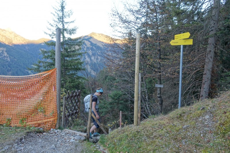 Lochgehrenkopf - Lochgehrenspitze - Sulzspitze - Strindschartenkopf - Litnisschrofen - Krinnenspitze - Nesselwngle
