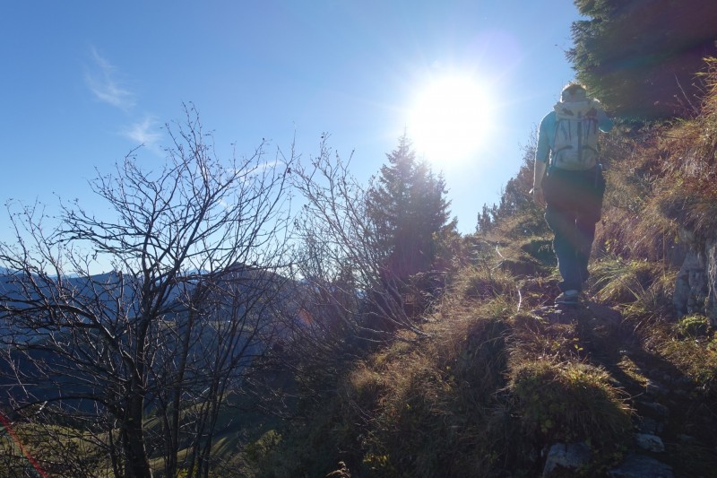 Lochgehrenkopf - Lochgehrenspitze - Sulzspitze - Strindschartenkopf - Litnisschrofen - Krinnenspitze - Nesselwngle