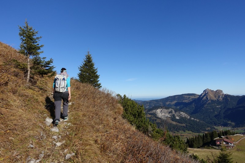 Lochgehrenkopf - Lochgehrenspitze - Sulzspitze - Strindschartenkopf - Litnisschrofen - Krinnenspitze - Nesselwngle