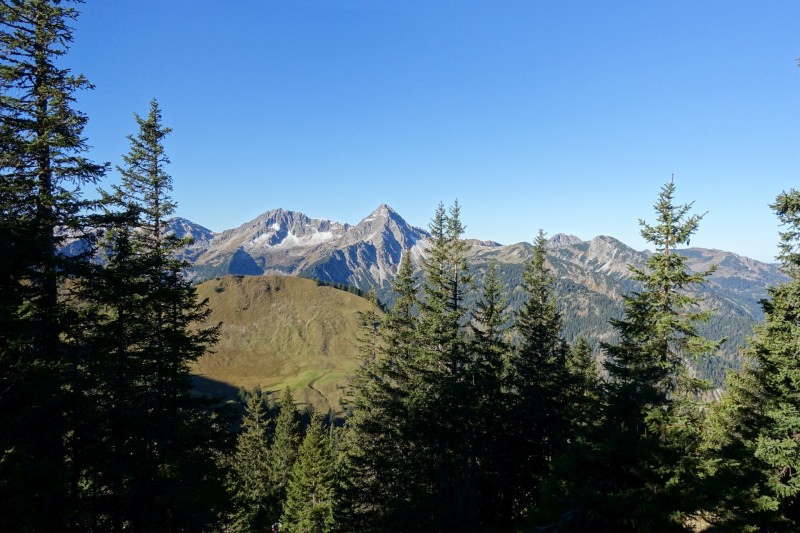 Lochgehrenkopf - Lochgehrenspitze - Sulzspitze - Strindschartenkopf - Litnisschrofen - Krinnenspitze - Nesselwngle