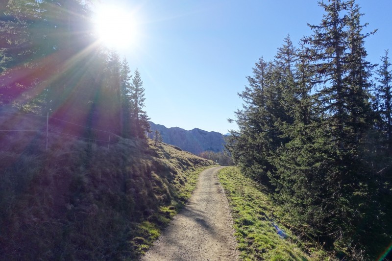 Lochgehrenkopf - Lochgehrenspitze - Sulzspitze - Strindschartenkopf - Litnisschrofen - Krinnenspitze - Nesselwngle