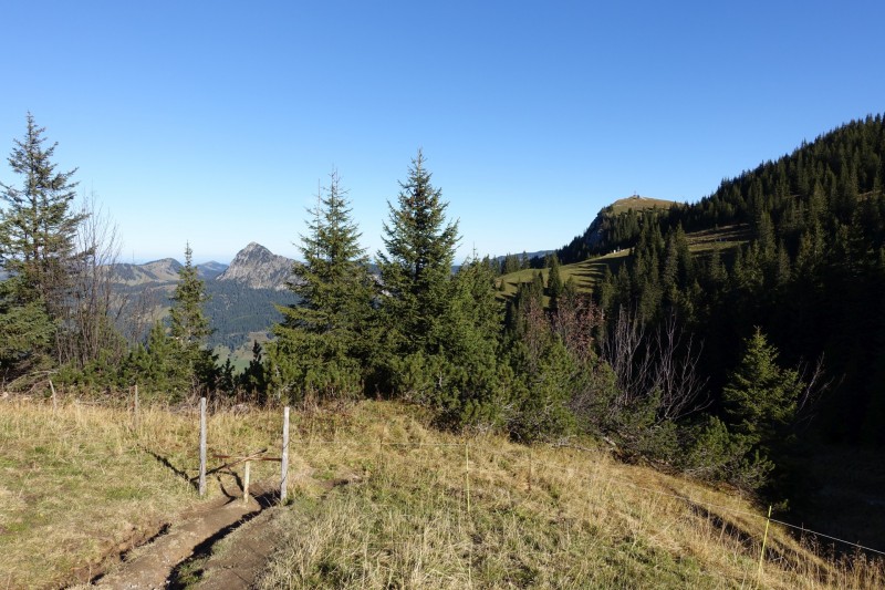 Lochgehrenkopf - Lochgehrenspitze - Sulzspitze - Strindschartenkopf - Litnisschrofen - Krinnenspitze - Nesselwngle