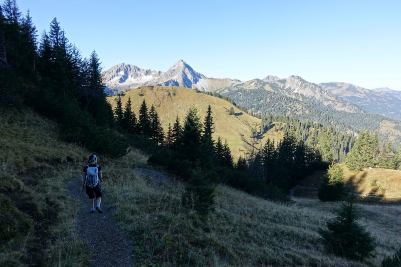 Lochgehrenkopf - Lochgehrenspitze - Sulzspitze - Strindschartenkopf - Litnisschrofen - Krinnenspitze - Nesselwngle