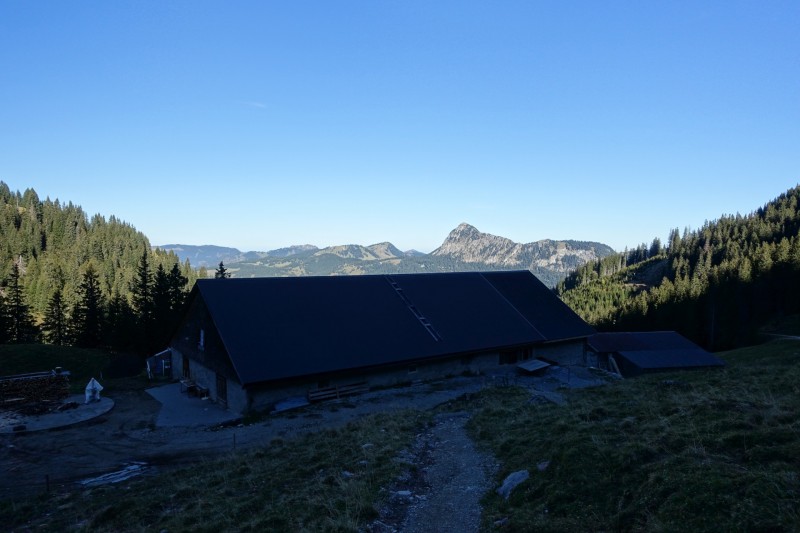 Lochgehrenkopf - Lochgehrenspitze - Sulzspitze - Strindschartenkopf - Litnisschrofen - Krinnenspitze - Nesselwngle