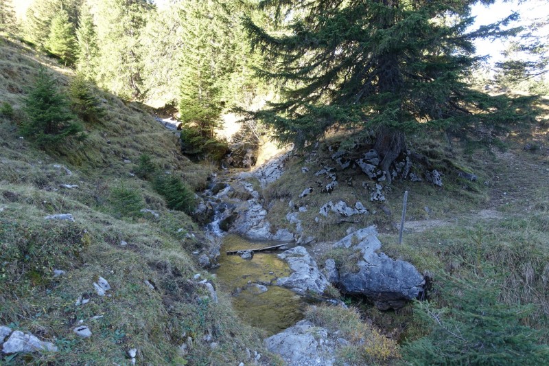 Lochgehrenkopf - Lochgehrenspitze - Sulzspitze - Strindschartenkopf - Litnisschrofen - Krinnenspitze - Nesselwngle
