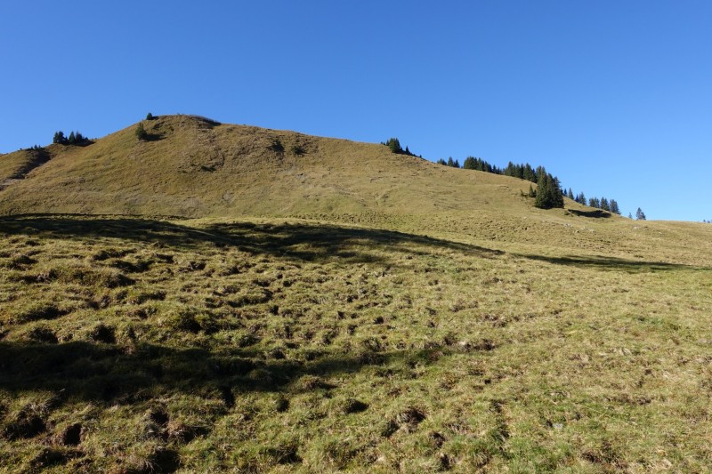 Lochgehrenkopf - Lochgehrenspitze - Sulzspitze - Strindschartenkopf - Litnisschrofen - Krinnenspitze - Nesselwngle