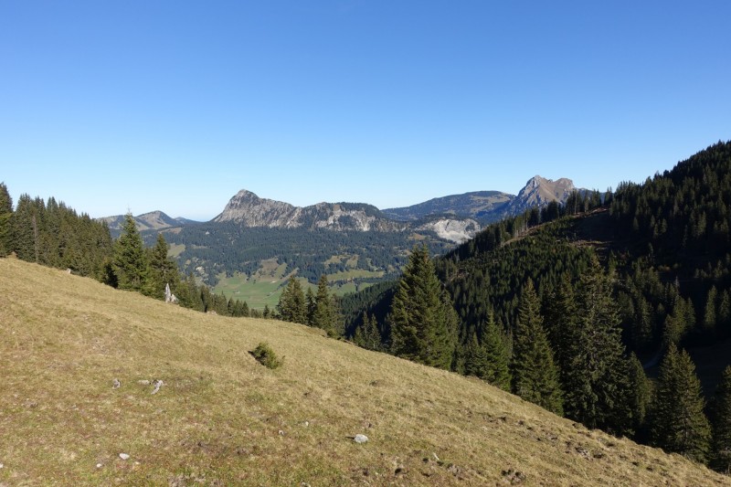 Lochgehrenkopf - Lochgehrenspitze - Sulzspitze - Strindschartenkopf - Litnisschrofen - Krinnenspitze - Nesselwngle