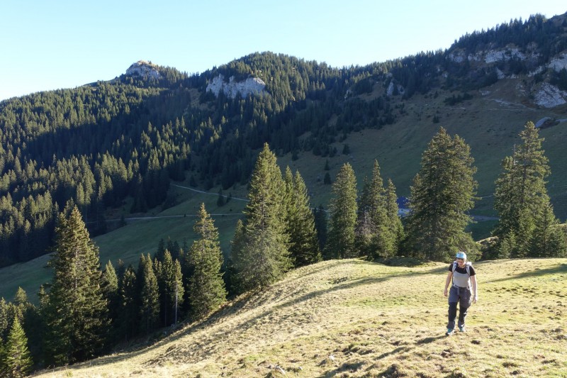 Lochgehrenkopf - Lochgehrenspitze - Sulzspitze - Strindschartenkopf - Litnisschrofen - Krinnenspitze - Nesselwngle