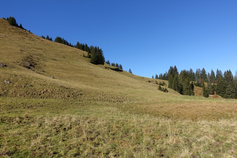 Lochgehrenkopf - Lochgehrenspitze - Sulzspitze - Strindschartenkopf - Litnisschrofen - Krinnenspitze - Nesselwngle