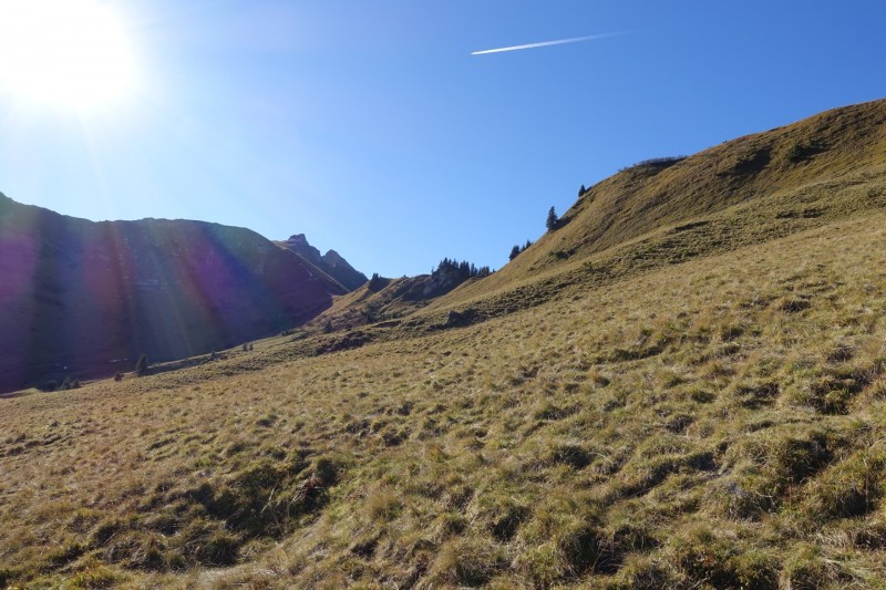 Lochgehrenkopf - Lochgehrenspitze - Sulzspitze - Strindschartenkopf - Litnisschrofen - Krinnenspitze - Nesselwngle